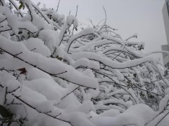 各fba散貨海運拼箱提醒廣東省氣象