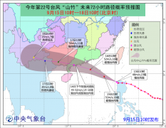 國際海運(yùn),散貨拼箱防御超強(qiáng)臺(tái)風(fēng)“